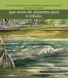 A mata atlântica