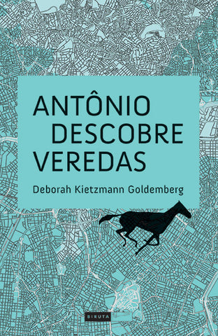 Antônio descobre Veredas