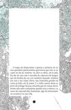 Antônio descobre Veredas