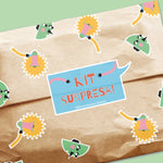 Kit Surpresa! Edição Especial