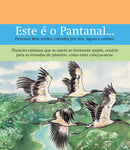 O pantanal