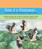 O pantanal